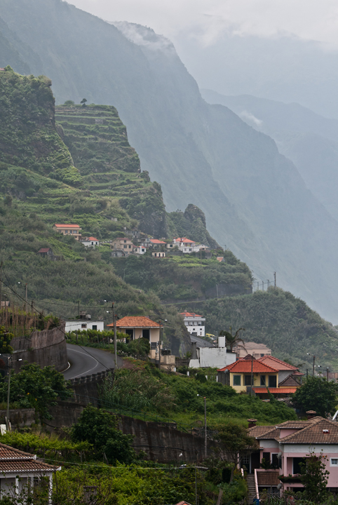 502_Madera_Ponta Delgada.jpg